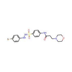 O=C(CCN1CCOCC1)Nc1ccc(S(=O)(=O)NNc2ccc(Br)cc2)cc1 ZINC000653696827