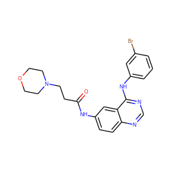 O=C(CCN1CCOCC1)Nc1ccc2ncnc(Nc3cccc(Br)c3)c2c1 ZINC000039165996