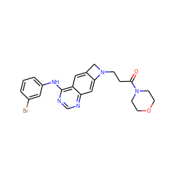 O=C(CCN1Cc2cc3c(Nc4cccc(Br)c4)ncnc3cc21)N1CCOCC1 ZINC000045496007