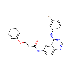 O=C(CCOc1ccccc1)Nc1ccc2ncnc(Nc3cccc(Br)c3)c2c1 ZINC000096933195