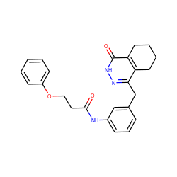 O=C(CCOc1ccccc1)Nc1cccc(Cc2n[nH]c(=O)c3c2CCCC3)c1 ZINC000168433676