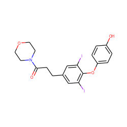 O=C(CCc1cc(I)c(Oc2ccc(O)cc2)c(I)c1)N1CCOCC1 ZINC000095601179