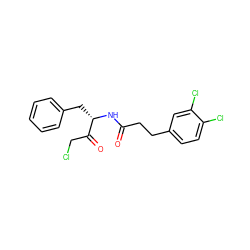 O=C(CCc1ccc(Cl)c(Cl)c1)N[C@@H](Cc1ccccc1)C(=O)CCl ZINC000026158933