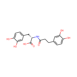 O=C(CCc1ccc(O)c(O)c1)N[C@@H](Cc1ccc(O)c(O)c1)C(=O)O ZINC000213929690