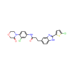 O=C(CCc1ccc2[nH]c(-c3ccc(Cl)s3)nc2c1)Nc1ccc(N2CCOCC2=O)c(Cl)c1 ZINC000027208565