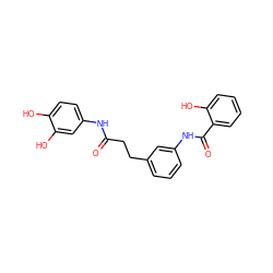 O=C(CCc1cccc(NC(=O)c2ccccc2O)c1)Nc1ccc(O)c(O)c1 ZINC000013535924