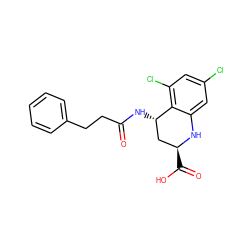 O=C(CCc1ccccc1)N[C@H]1C[C@H](C(=O)O)Nc2cc(Cl)cc(Cl)c21 ZINC000013455286