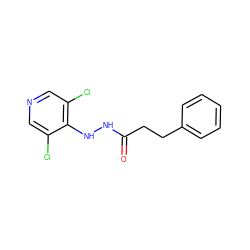 O=C(CCc1ccccc1)NNc1c(Cl)cncc1Cl ZINC000000146794