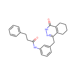 O=C(CCc1ccccc1)Nc1cccc(Cc2n[nH]c(=O)c3c2CCCC3)c1 ZINC000167530702