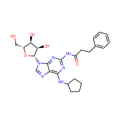 O=C(CCc1ccccc1)Nc1nc(NC2CCCC2)c2ncn([C@@H]3O[C@H](CO)[C@@H](O)[C@H]3O)c2n1 ZINC000029316226