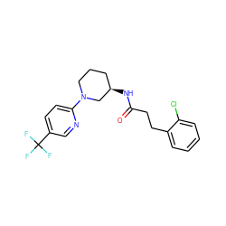 O=C(CCc1ccccc1Cl)N[C@@H]1CCCN(c2ccc(C(F)(F)F)cn2)C1 ZINC000020450789