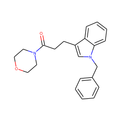 O=C(CCc1cn(Cc2ccccc2)c2ccccc12)N1CCOCC1 ZINC000028704743