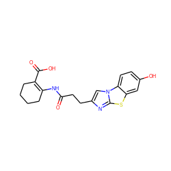 O=C(CCc1cn2c(n1)sc1cc(O)ccc12)NC1=C(C(=O)O)CCCC1 ZINC000034853234