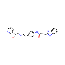 O=C(CCc1nc2ccccc2[nH]1)Nc1ccc(CCNC[C@H](O)c2cccnc2)cc1 ZINC000049049158