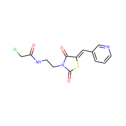 O=C(CCl)NCCN1C(=O)S/C(=C\c2cccnc2)C1=O ZINC000003319032