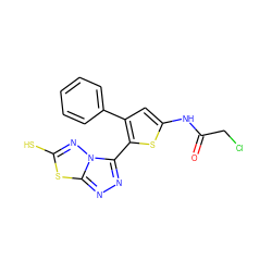 O=C(CCl)Nc1cc(-c2ccccc2)c(-c2nnc3sc(S)nn23)s1 ZINC000028827005