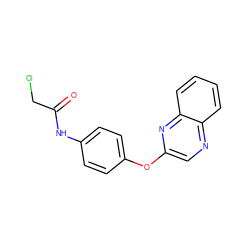 O=C(CCl)Nc1ccc(Oc2cnc3ccccc3n2)cc1 ZINC000001384813