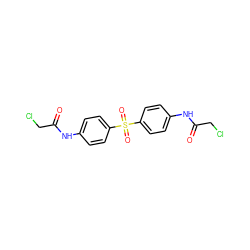 O=C(CCl)Nc1ccc(S(=O)(=O)c2ccc(NC(=O)CCl)cc2)cc1 ZINC000001656284