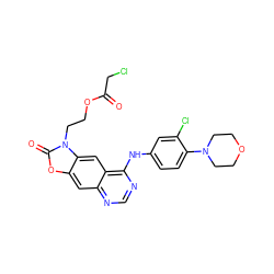 O=C(CCl)OCCn1c(=O)oc2cc3ncnc(Nc4ccc(N5CCOCC5)c(Cl)c4)c3cc21 ZINC001772640326