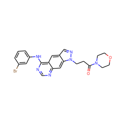 O=C(CCn1ncc2cc3c(Nc4cccc(Br)c4)ncnc3cc21)N1CCOCC1 ZINC000040914225