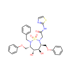 O=C(CN1[C@@H](COc2ccccc2)[C@@H](O)[C@H](O)[C@H](COc2ccccc2)N(Cc2ccccc2)S1(=O)=O)Nc1nccs1 ZINC000029408666