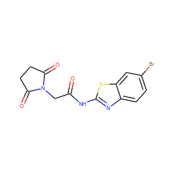 O=C(CN1C(=O)CCC1=O)Nc1nc2ccc(Br)cc2s1 ZINC000004078704