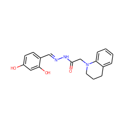 O=C(CN1CCCc2ccccc21)N/N=C/c1ccc(O)cc1O ZINC000000545876