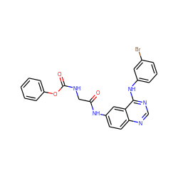 O=C(CNC(=O)Oc1ccccc1)Nc1ccc2ncnc(Nc3cccc(Br)c3)c2c1 ZINC000045370982