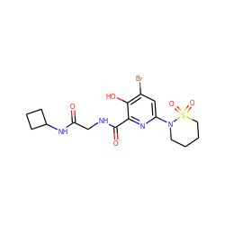 O=C(CNC(=O)c1nc(N2CCCCS2(=O)=O)cc(Br)c1O)NC1CCC1 ZINC000073139725