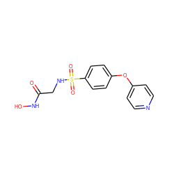 O=C(CNS(=O)(=O)c1ccc(Oc2ccncc2)cc1)NO ZINC000028526833