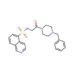 O=C(CNS(=O)(=O)c1cccc2cnccc12)N1CCN(Cc2ccccc2)CC1 ZINC000028705185