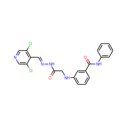 O=C(CNc1cccc(C(=O)Nc2ccccc2)c1)N/N=C/c1c(Cl)cncc1Cl ZINC000136238908