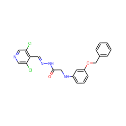 O=C(CNc1cccc(OCc2ccccc2)c1)N/N=C/c1c(Cl)cncc1Cl ZINC000201288430