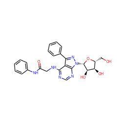 O=C(CNc1ncnc2c1c(-c1ccccc1)nn2[C@@H]1O[C@H](CO)[C@@H](O)[C@H]1O)Nc1ccccc1 ZINC000013676935