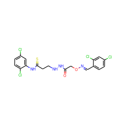 O=C(CO/N=C/c1ccc(Cl)cc1Cl)NNCCC(=S)Nc1cc(Cl)ccc1Cl ZINC000220400264