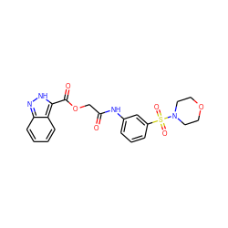 O=C(COC(=O)c1[nH]nc2ccccc12)Nc1cccc(S(=O)(=O)N2CCOCC2)c1 ZINC000013637293