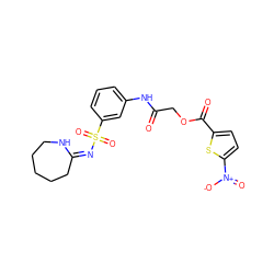 O=C(COC(=O)c1ccc([N+](=O)[O-])s1)Nc1cccc(S(=O)(=O)/N=C2/CCCCCN2)c1 ZINC000013138803