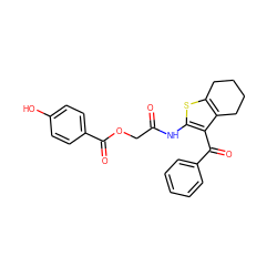 O=C(COC(=O)c1ccc(O)cc1)Nc1sc2c(c1C(=O)c1ccccc1)CCCC2 ZINC000013141256