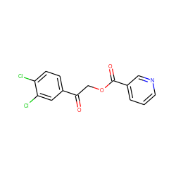 O=C(COC(=O)c1cccnc1)c1ccc(Cl)c(Cl)c1 ZINC000000521558