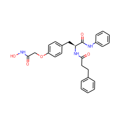 O=C(COc1ccc(C[C@H](NC(=O)CCc2ccccc2)C(=O)Nc2ccccc2)cc1)NO ZINC000072176465