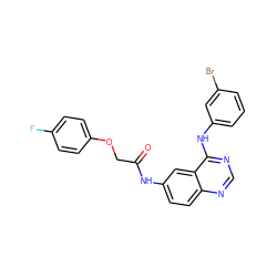 O=C(COc1ccc(F)cc1)Nc1ccc2ncnc(Nc3cccc(Br)c3)c2c1 ZINC000045367544