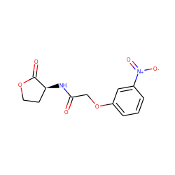 O=C(COc1cccc([N+](=O)[O-])c1)N[C@H]1CCOC1=O ZINC000040861670