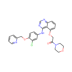 O=C(COc1cccc2ncnc(Nc3ccc(OCc4ccccn4)c(Cl)c3)c12)N1CCOCC1 ZINC000029130050