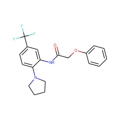 O=C(COc1ccccc1)Nc1cc(C(F)(F)F)ccc1N1CCCC1 ZINC000001262490