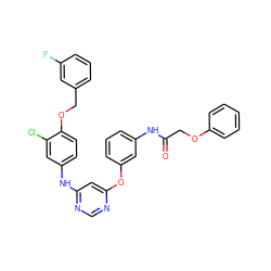 O=C(COc1ccccc1)Nc1cccc(Oc2cc(Nc3ccc(OCc4cccc(F)c4)c(Cl)c3)ncn2)c1 ZINC000082149386