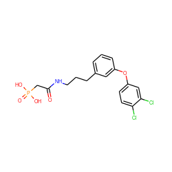 O=C(CP(=O)(O)O)NCCCc1cccc(Oc2ccc(Cl)c(Cl)c2)c1 ZINC000040955780