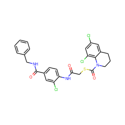 O=C(CSC(=O)N1CCCc2cc(Cl)cc(Cl)c21)Nc1ccc(C(=O)NCc2ccccc2)cc1Cl ZINC000043177910