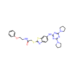 O=C(CSc1nc2ccc(Nc3nc(N4CCCC4)nc(N4CCCC4)n3)cc2s1)NCCOc1ccccc1 ZINC000008438023