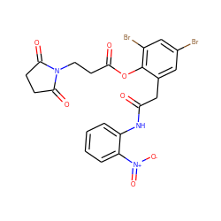 O=C(Cc1cc(Br)cc(Br)c1OC(=O)CCN1C(=O)CCC1=O)Nc1ccccc1[N+](=O)[O-] ZINC000299860405