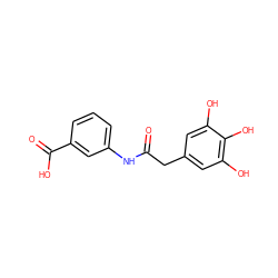 O=C(Cc1cc(O)c(O)c(O)c1)Nc1cccc(C(=O)O)c1 ZINC000035269394